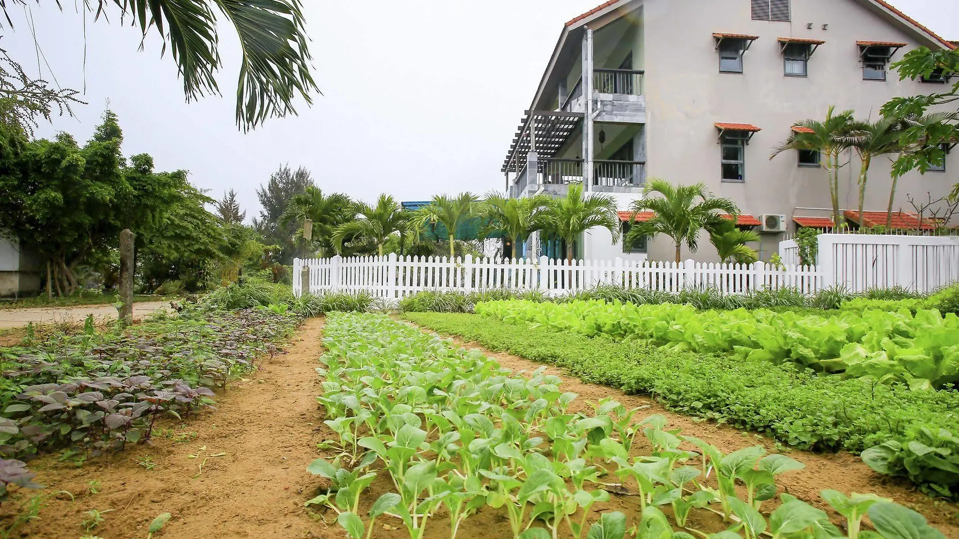 הוי אן Huyen Tra Que Homestay 2*, הוי אן